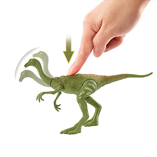 JURASSIC WORLD TOYS FIERCE FORCE GALLIMIMUS CAMP CRETACEOUS DINOSAUR ACTION FIGURE WITH MOVABLE JOINTS, REALISTIC SCULPTING & SINGLE STRIKE