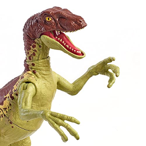 JURASSIC WORLD TOYS FIERCE FORCE VELOCIRAPTOR CAMP CRETACEOUS DINOSAUR ACTION FIGURE MOVABLE JOINTS, & SINGLE STRIKE FEATURE, MIXED COLOR